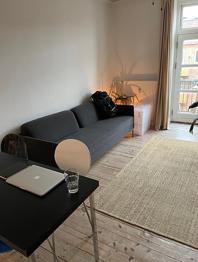 Hestbæk Sovesofa GIVES VÆK (Afhentning haster, Odense C)