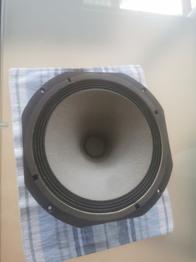 Turbosound LS 1001 fane