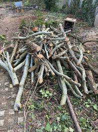 Brænde blandet træ i grene og stammer